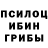 Псилоцибиновые грибы GOLDEN TEACHER kxtana chan