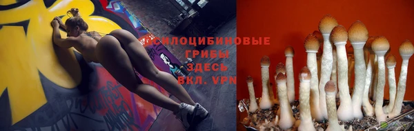 стафф Алзамай