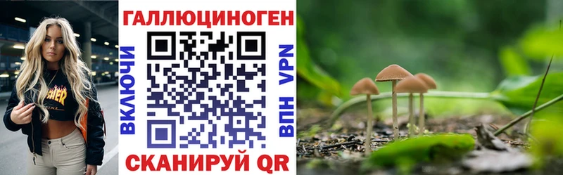 Галлюциногенные грибы Magic Shrooms Кукмор